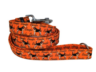 Vodítko ORANGE BEAGLE