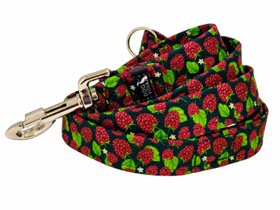 Vodítko RASPBERRY