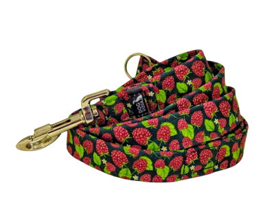 Vodítko RASPBERRY