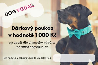 DÁRKOVÝ POUKAZ 1000 kč